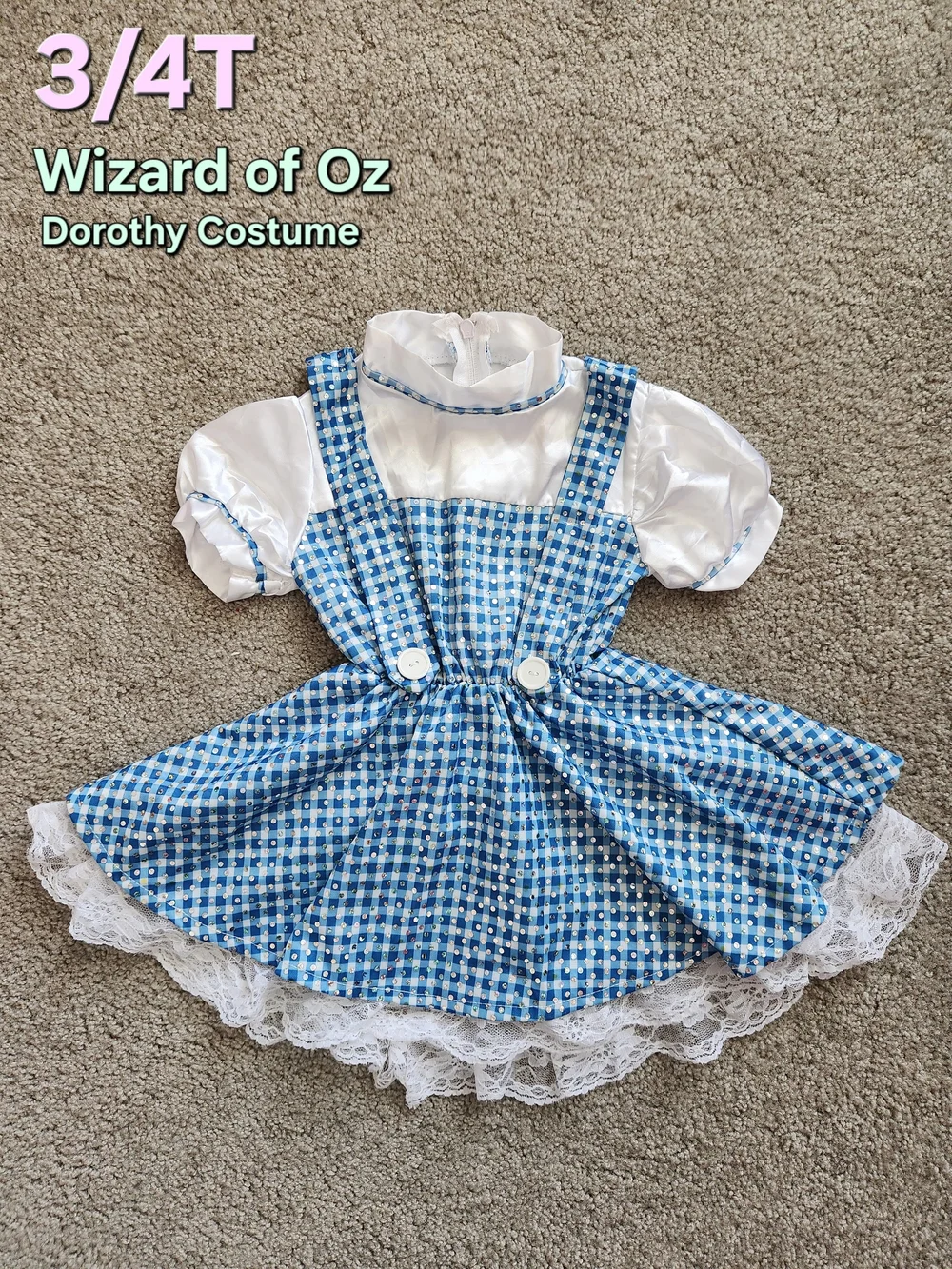 Wizard of Oz Dorothy Dress Halloween Costume - 3T / 4T
